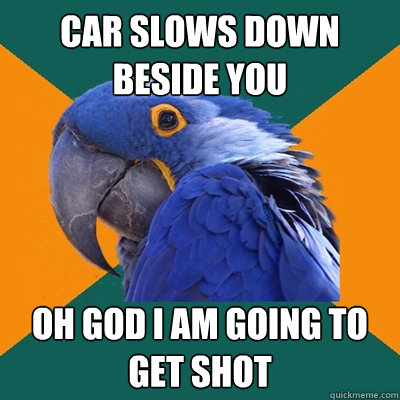 Car slows down beside you Oh god I am going to get shot  Paranoid Parrot