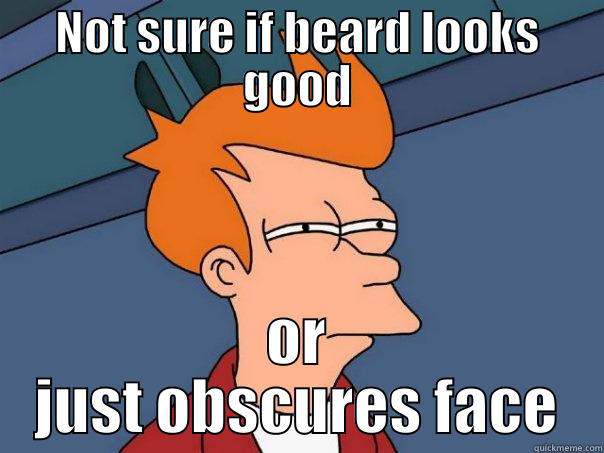 NOT SURE IF BEARD LOOKS GOOD OR JUST OBSCURES FACE Futurama Fry