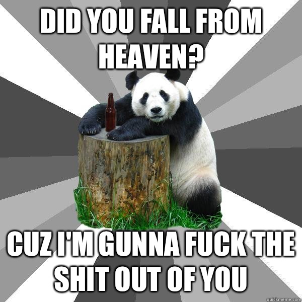 Did you fall from heaven? Cuz I'm gunna fuck the shit out of you  Pickup-Line Panda
