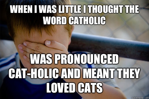 When i was little I thought the word catholic Was pronounced cat-holic and meant they loved cats  Confession kid