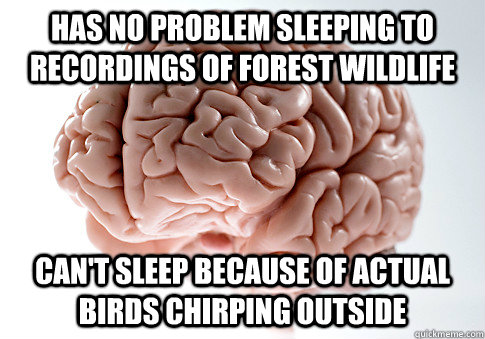 Has no problem sleeping to recordings of forest wildlife can't sleep because of actual birds chirping outside  ScumbagBrain