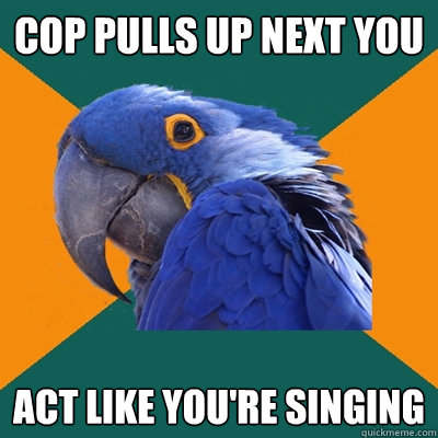 Cop pulls up next you act like you're singing  Paranoid Parrot