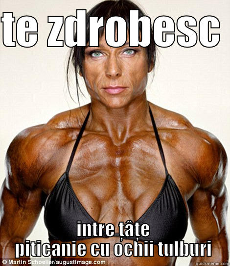 TE ZDROBESC  INTRE ȚÂȚE PITICANIE CU OCHII TULBURI Misc