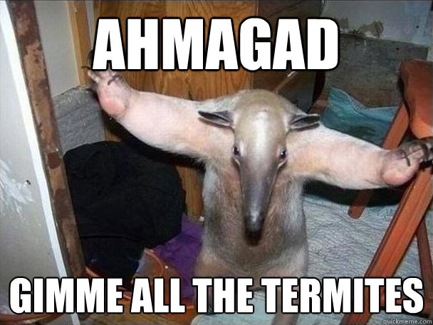 ahmagad gimme all the termites  I got this