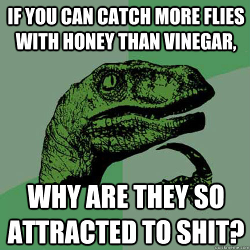 if you can catch more flies with honey than vinegar, why are they so attracted to shit?  Philosoraptor