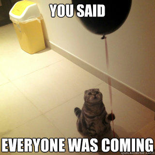 you said Everyone was coming - you said Everyone was coming  Sad Birthday Cat