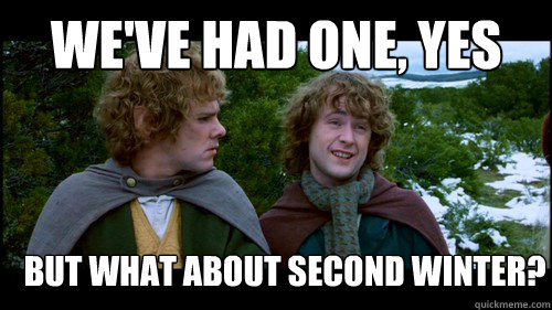 we've had one, yes
 but what about second winter?
  