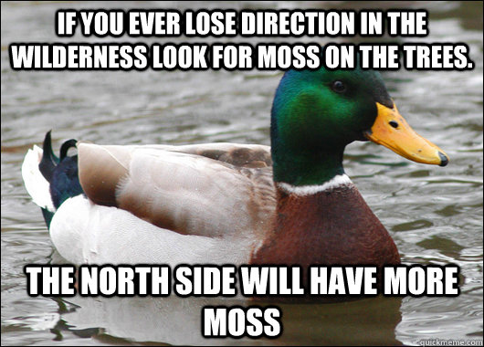 If you ever lose direction in the wilderness look for moss on the trees. The North side will have more moss - If you ever lose direction in the wilderness look for moss on the trees. The North side will have more moss  Actual Advice Mallard