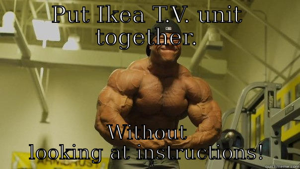 PUT IKEA T.V. UNIT TOGETHER. WITHOUT LOOKING AT INSTRUCTIONS! Misc