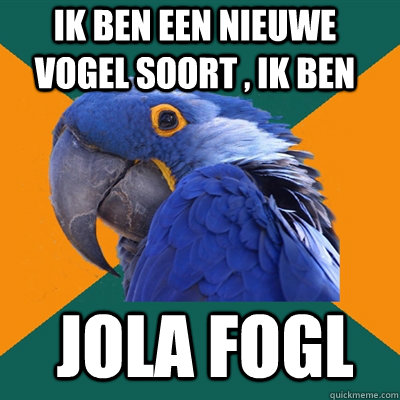 ik ben een nieuwe vogel soort , ik ben  Jola Fogl  Paranoid Parrot