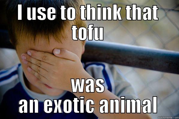 I USE TO THINK THAT TOFU WAS AN EXOTIC ANIMAL Confession kid