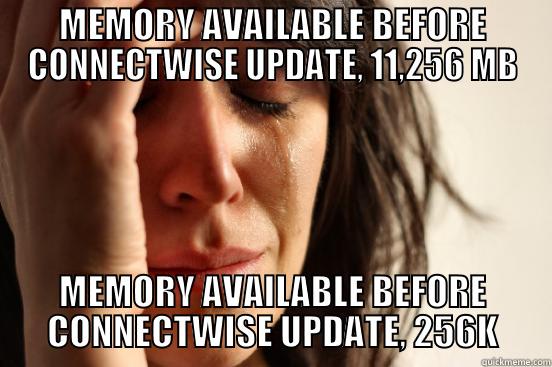 MEMORY AVAILABLE BEFORE CONNECTWISE UPDATE, 11,256 MB MEMORY AVAILABLE BEFORE CONNECTWISE UPDATE, 256K First World Problems