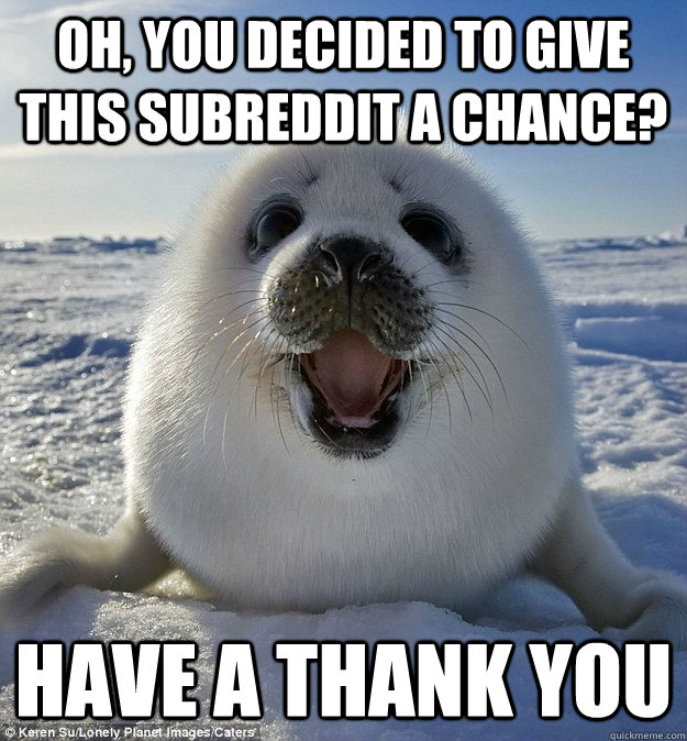 OH, YOU DECIDED TO GIVE THIS SUBREDDIT A CHANCE? HAVE A THANK YOU - OH, YOU DECIDED TO GIVE THIS SUBREDDIT A CHANCE? HAVE A THANK YOU  Easily Pleased Seal