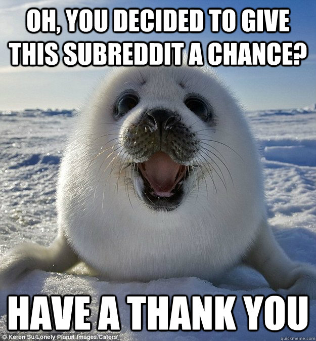OH, YOU DECIDED TO GIVE THIS SUBREDDIT A CHANCE? HAVE A THANK YOU  Easily Pleased Seal