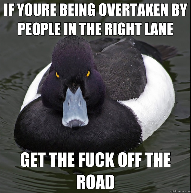 IF YOURE BEING OVERTAKEN BY PEOPLE IN THE RIGHT LANE GET THE FUCK OFF THE ROAD  angry advice mallard