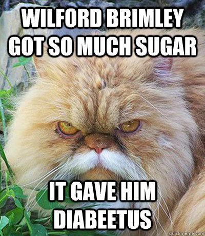 Wilford brimley got so much sugar it gave him diabeetus  Diabeetus Cat