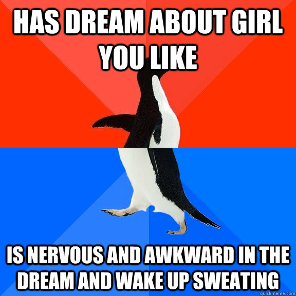 Has dream about girl you like Is nervous and awkward in the dream and Wake up sweating - Has dream about girl you like Is nervous and awkward in the dream and Wake up sweating  Socially Awesome Awkward Penguin