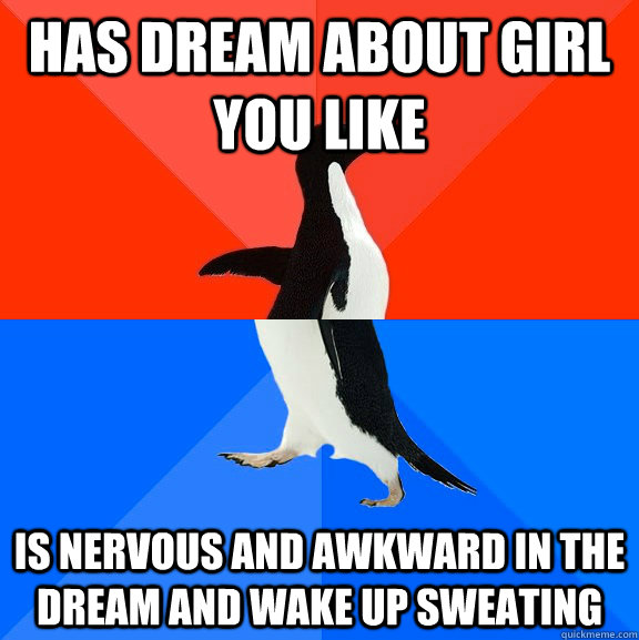 Has dream about girl you like Is nervous and awkward in the dream and Wake up sweating  Socially Awesome Awkward Penguin