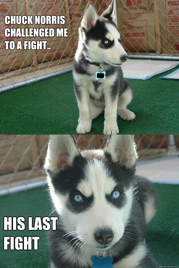 Chuck norris challenged me to a fight.. his last fight - Chuck norris challenged me to a fight.. his last fight  Insanity puppy