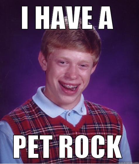 pet rock - I HAVE A PET ROCK Bad Luck Brian
