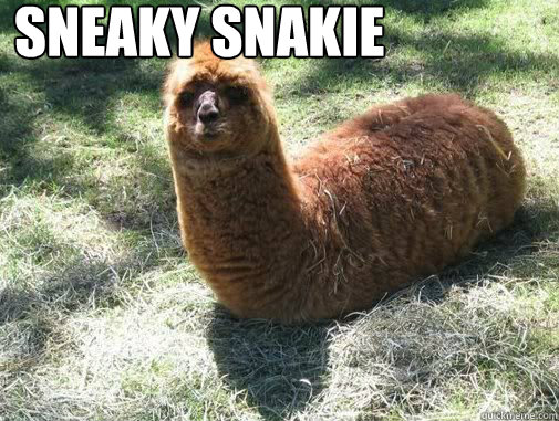 SNEAKY SNAKIE   Alpacapillar