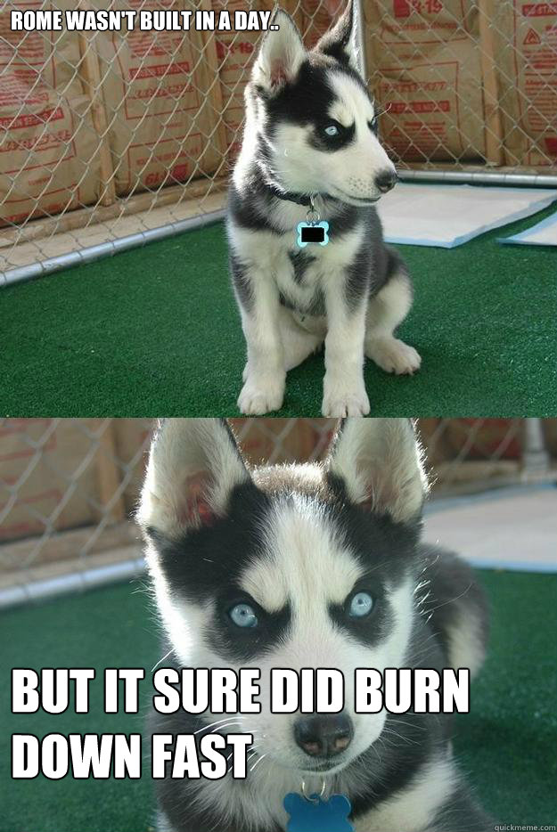 Rome wasn't built in a day.. but it sure did burn down fast - Rome wasn't built in a day.. but it sure did burn down fast  Insanity puppy