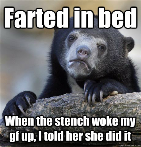 Farted in bed When the stench woke my gf up, I told her she did it  Confession Bear