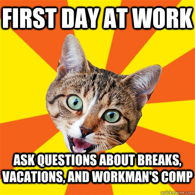 first day at work ask questions about breaks, vacations, and workman's comp  Bad Advice Cat