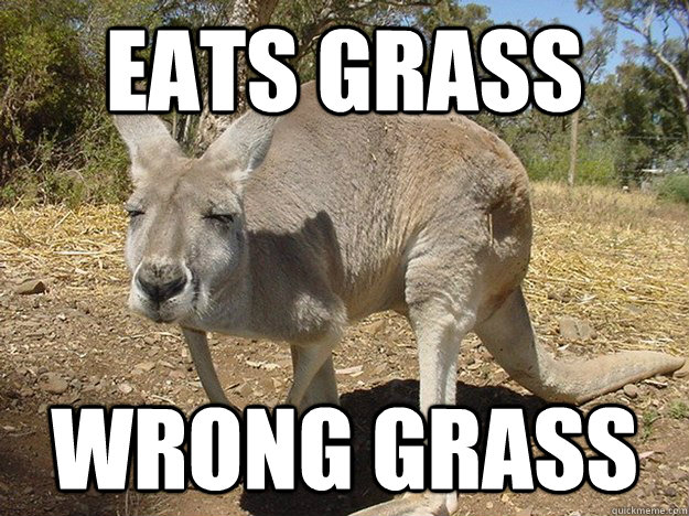 eats grass wrong grass  Tengaroo