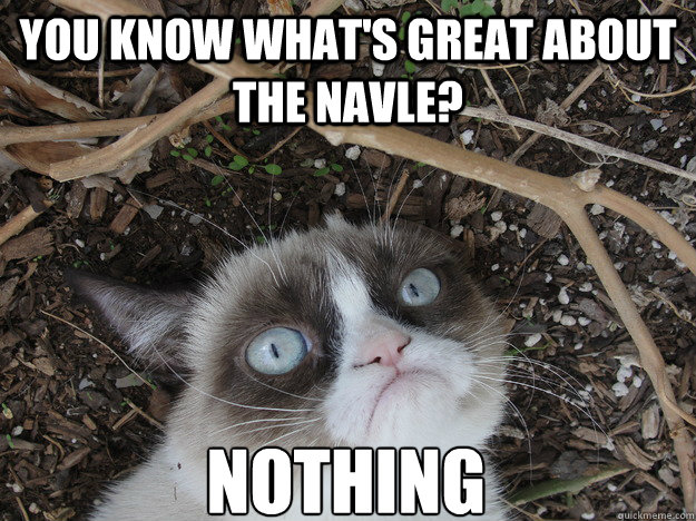 You know what's great about the NAVLE? Nothing  Stressed Grumpy Cat