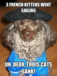 3 French kittehs went sailing Un, deux, trois cats sank! - 3 French kittehs went sailing Un, deux, trois cats sank!  French Pun Poodle