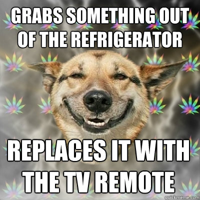 Grabs something out of the refrigerator  Replaces it with the tv remote  Stoner Dog