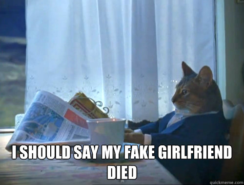  I should say my fake girlfriend died  The One Percent Cat