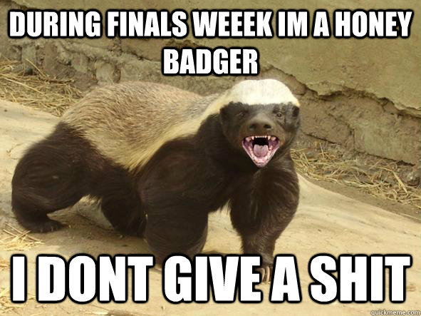 During Finals weeek im a honey badger i dont give a shit  Indifferent Honey Badger