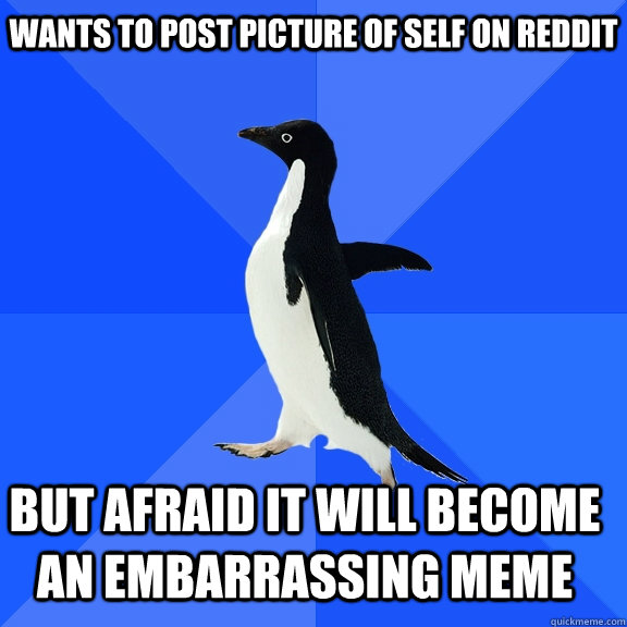 Wants to post picture of self on reddit but afraid it will become an embarrassing meme    Socially Awkward Penguin