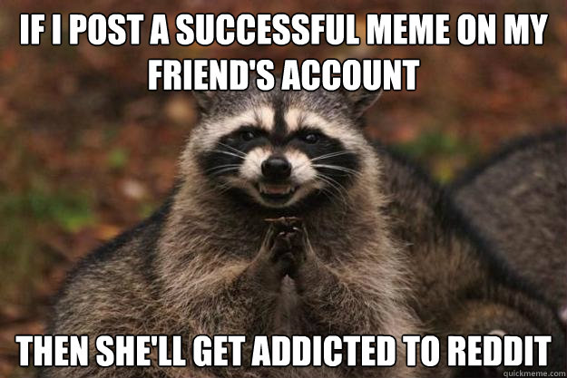 If I post a successful meme on my friend's account Then she'll get addicted to reddit  Evil Plotting Raccoon