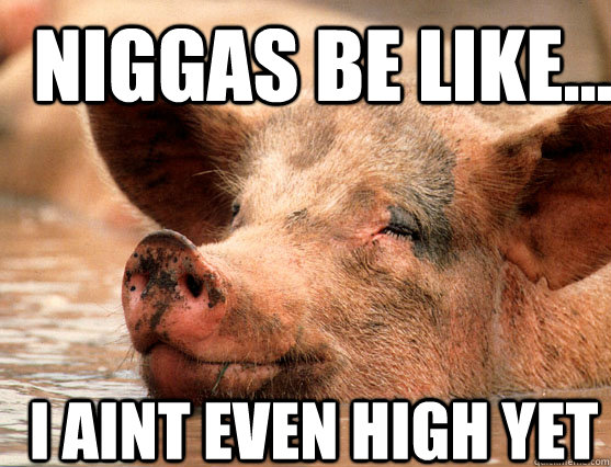 NIGGAS BE LIKE...  I AINT EVEN HIGH YET  Stoner Pig