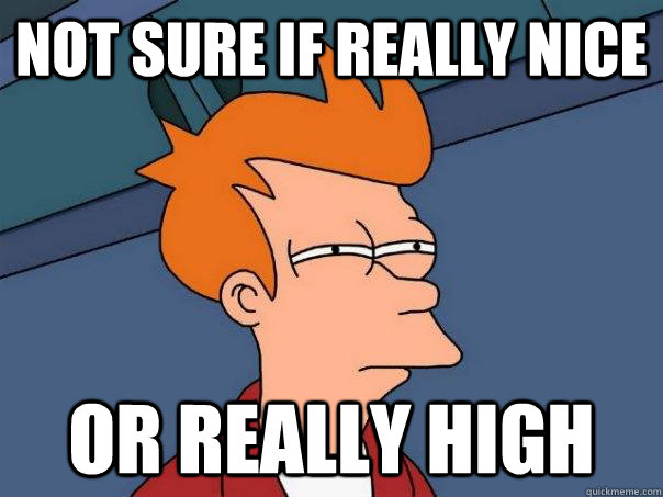 not sure if really nice or really high  Futurama Fry