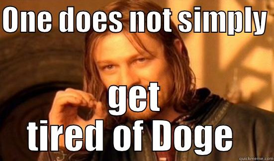 ONE DOES NOT SIMPLY  GET TIRED OF DOGE  Boromir