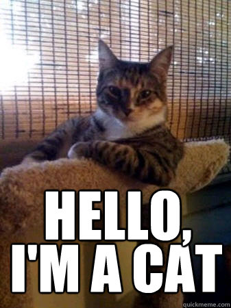 Hello, I'm a cat  The Most Interesting Cat in the World