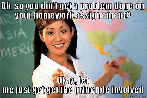 OH, SO YOU DIN'T GET A PROBLEM DONE ON YOUR HOMEWORK ASSIGNEMENT? OKAY, LET ME JUST GET GET THE PRINCIPLE INVOLVED Scumbag Teacher