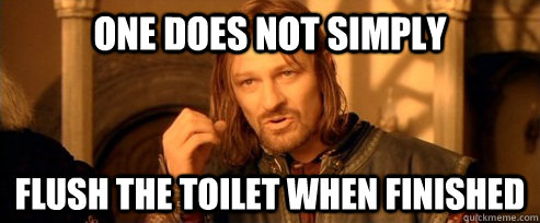 One does not simply Flush the toilet when finished  One Does Not Simply
