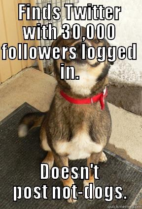 FINDS TWITTER WITH 30,000 FOLLOWERS LOGGED IN. DOESN'T POST NOT-DOGS. Good Dog Greg