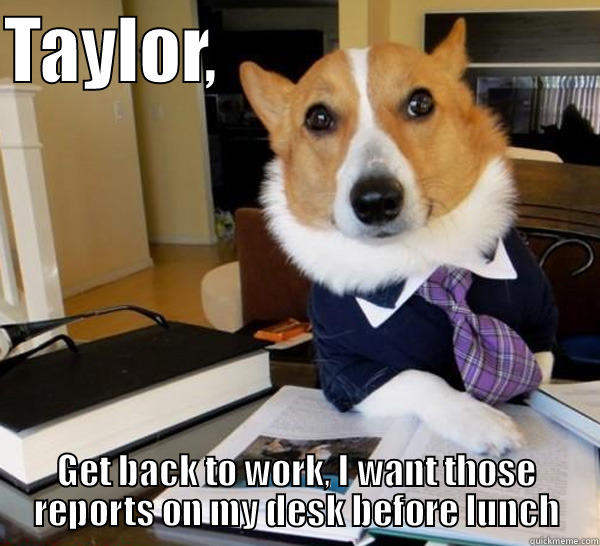 TAYLOR,                            GET BACK TO WORK, I WANT THOSE REPORTS ON MY DESK BEFORE LUNCH Lawyer Dog