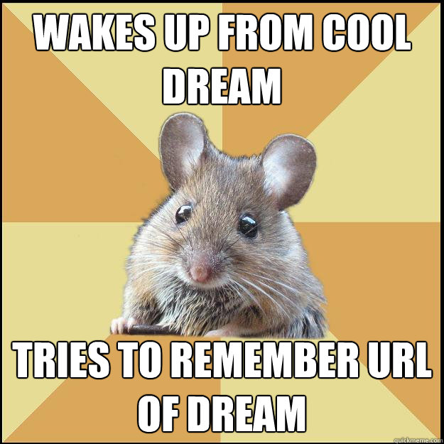 Wakes up from cool dream Tries to remember URL of dream  