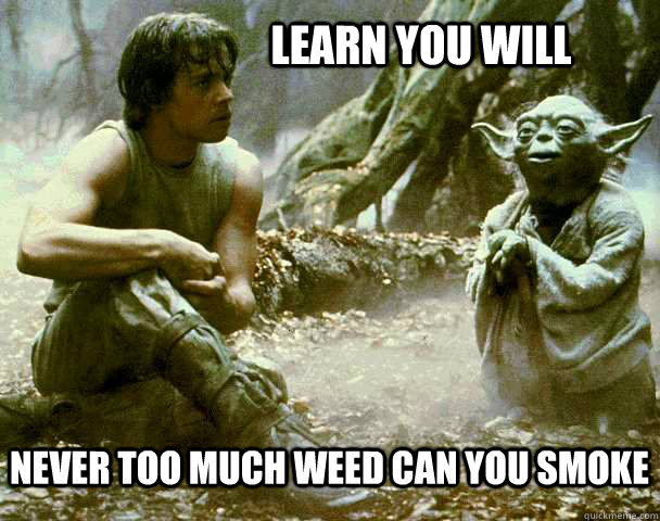 Learn You will Never too much weed can you smoke  Yoda Weed