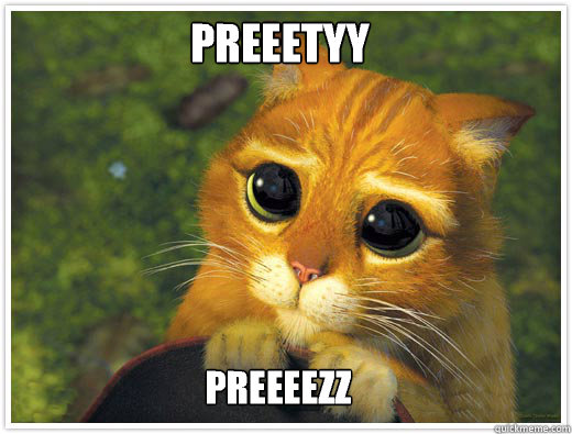 Preeetyy Preeeezz  Shrek Cat