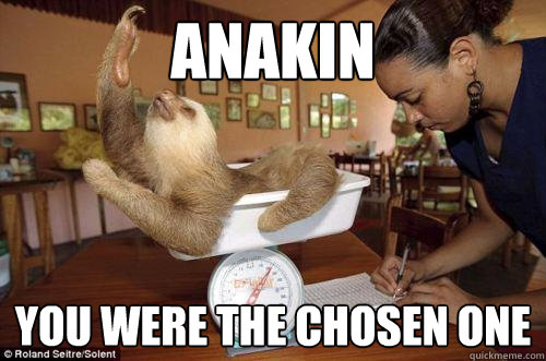 anakin You were the chosen one - anakin You were the chosen one  Dramatic Sloth