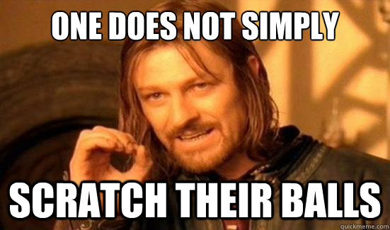 One Does Not Simply Scratch their balls  Boromir