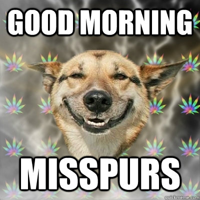 GOOD MORNING MISSPURS  Stoner Dog